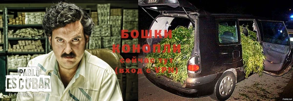 метадон Белокуриха